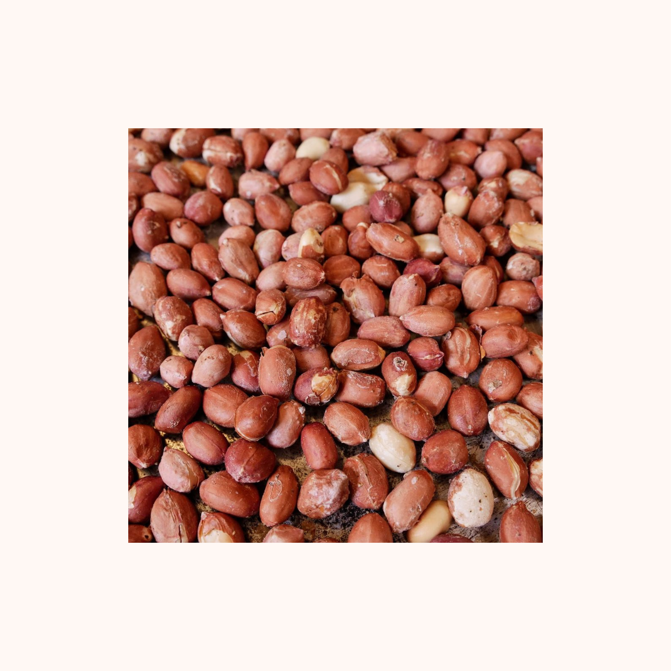 tools/Category/1733917222_Untitled_design_(18).png